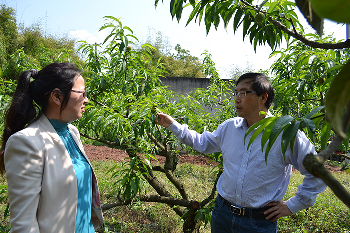 1513328137161184DDiU.jpg 圖片59.jpg