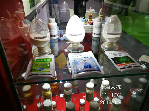 1520560796505856mfJh.png 圖片7.png