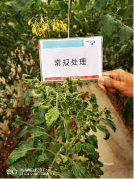 1574819090987118xX07.png blob.png