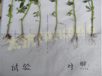 1574819251994937Hfvk.png blob.png