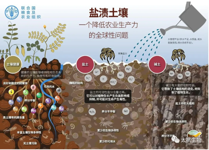 1639372716170563Qo8C.png 1639372422(1).png