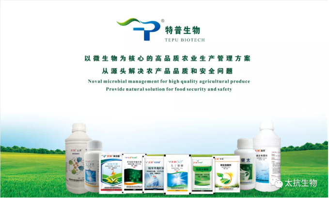 1639373494441268Hzxs.png 微信截圖_20211213134032.png